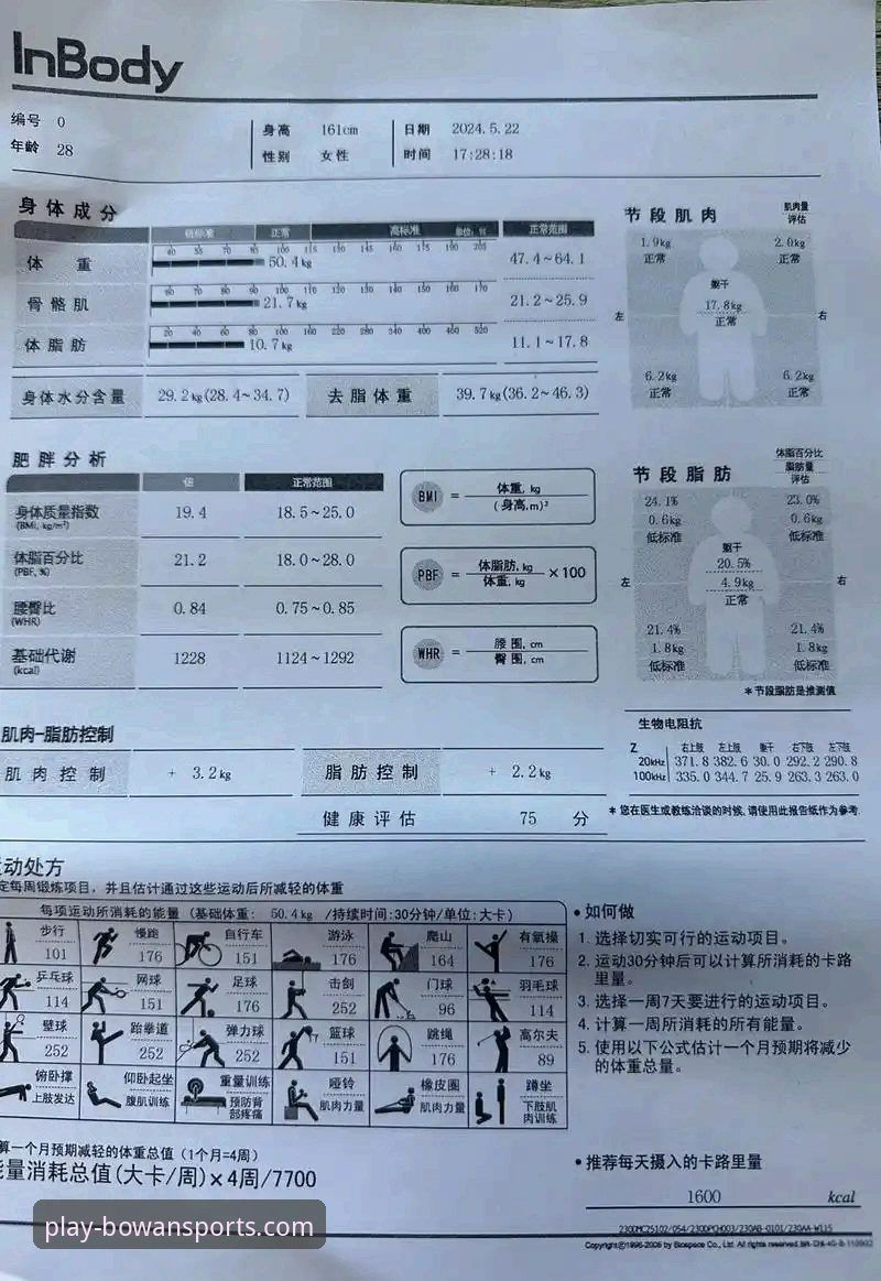 博万体育平台数据查询常见问题详解